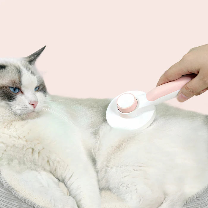 Self-Cleaning Slicker Brush